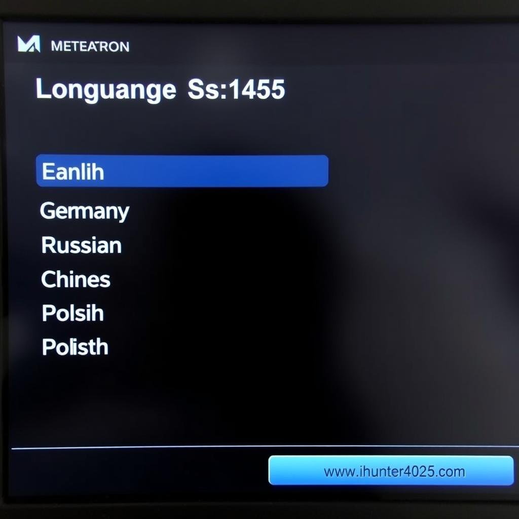 Language selection in Metatron Hunter 4025 NLS software
