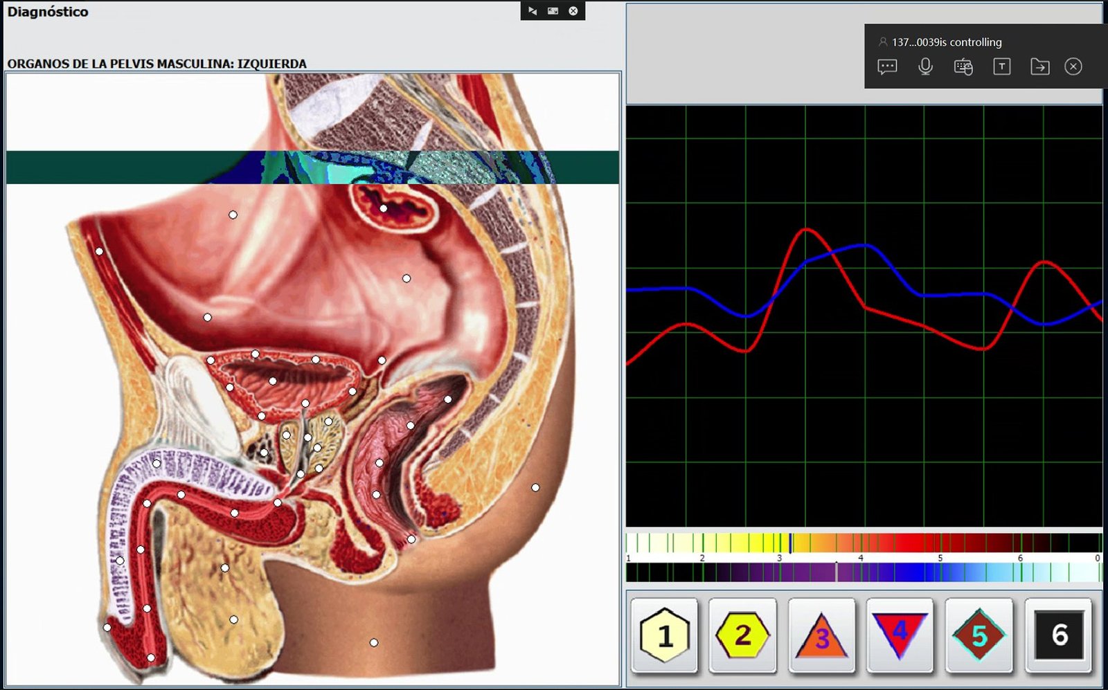 Successful MAIKONG distributor business