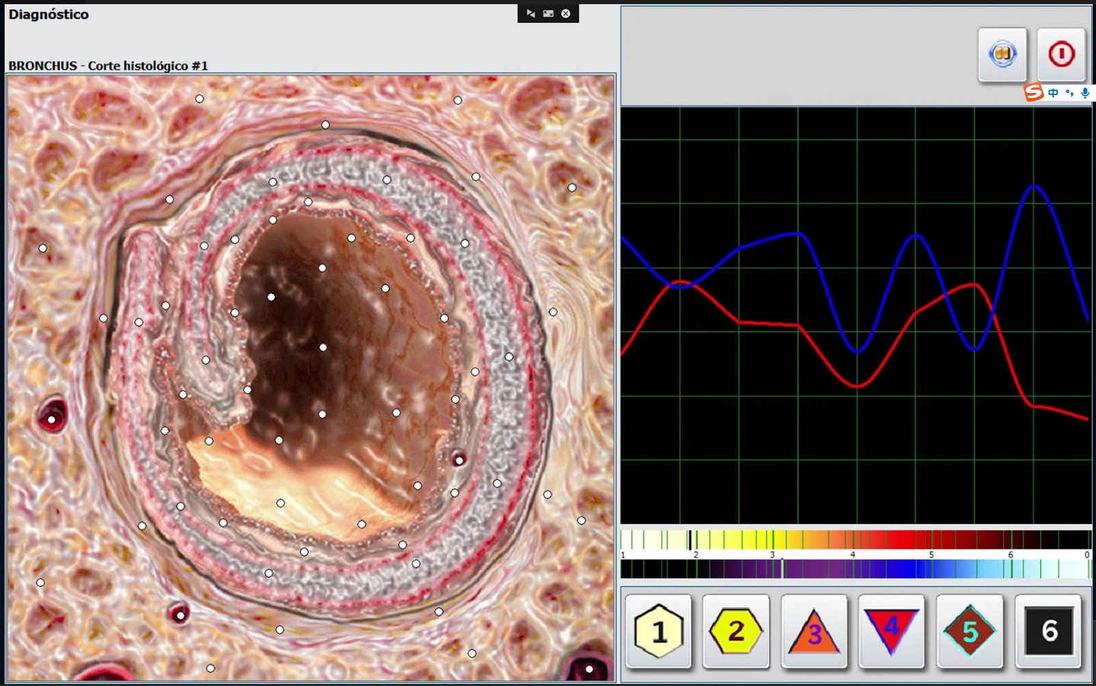 Preparation making with testing cup