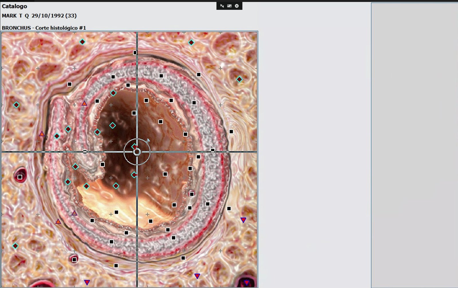 Hunter 4025 main processing unit