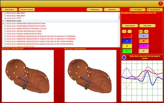 Metatron 4021 nls analyzer MK-017 — Metapathia  Metatron nls Red Dragon 4.jpg