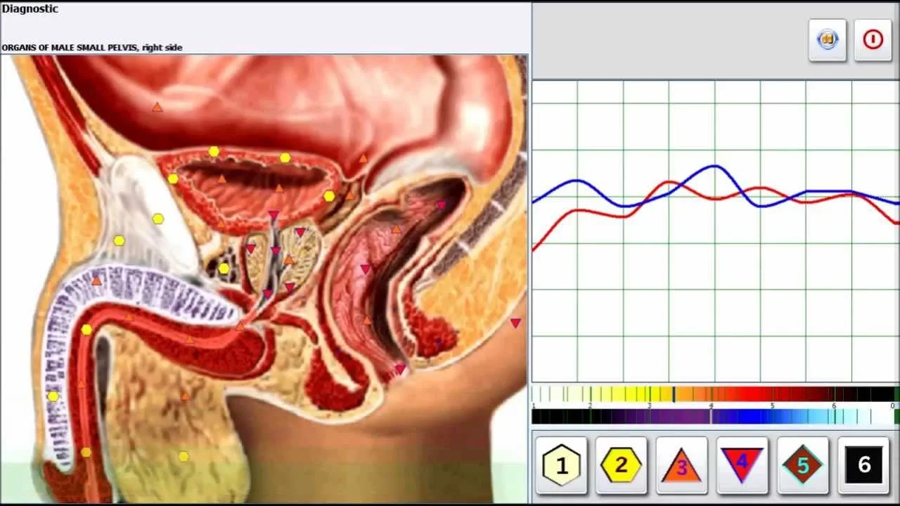 Metatron Diagnostic Machine (Metatron Hunter 4025): What U.S. Wellness Clinics Need to Know — MAIKONG Hunter 4025 Metatron (5074).jpg