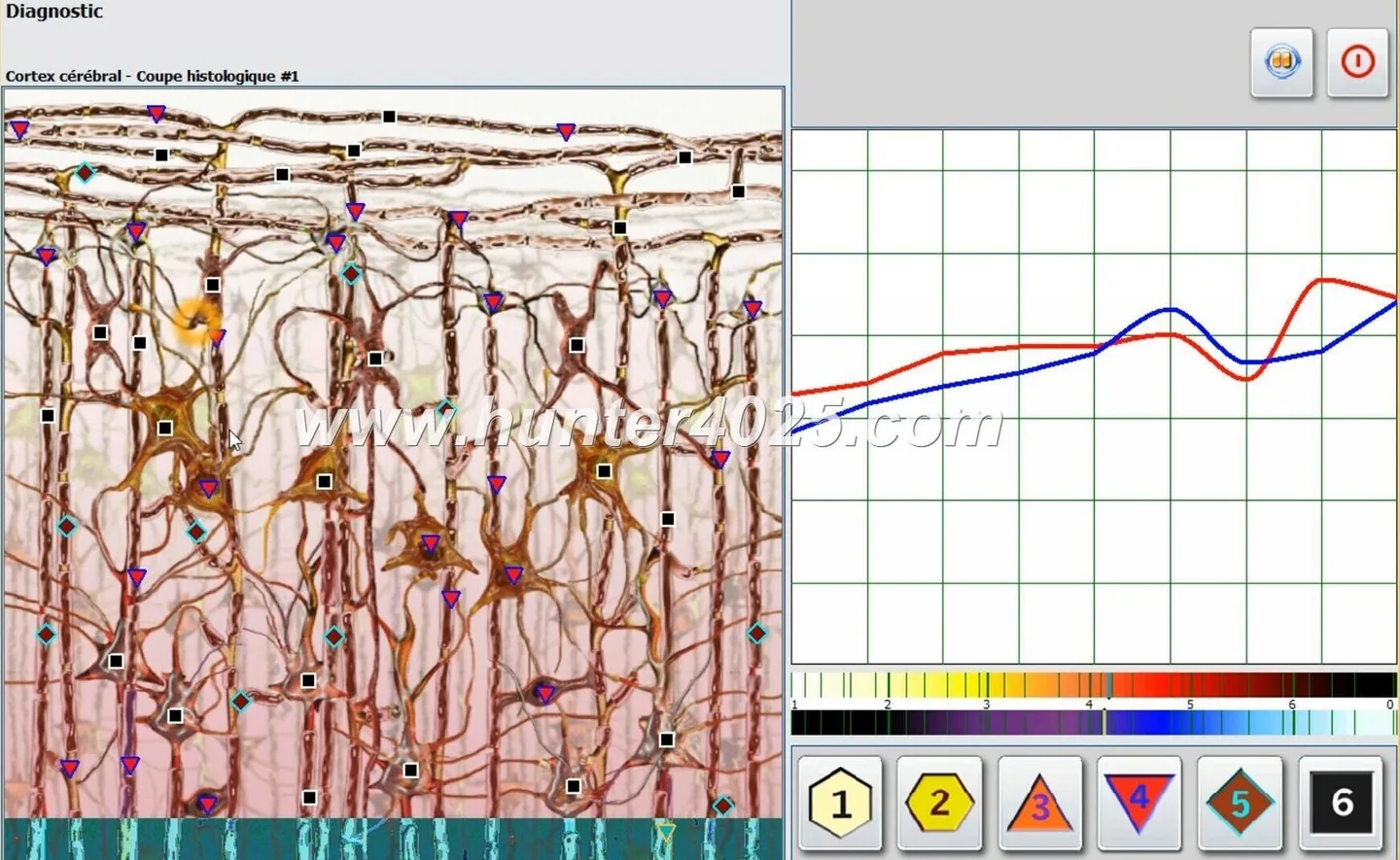 Can a Biophilia Tracker X5 (X5 ULTRA / X5 4D) Work for My U.S. Wellness Center? Practical Guidance for Owners — MAIKONG Hunter 4025 Metatron (5157).JPG