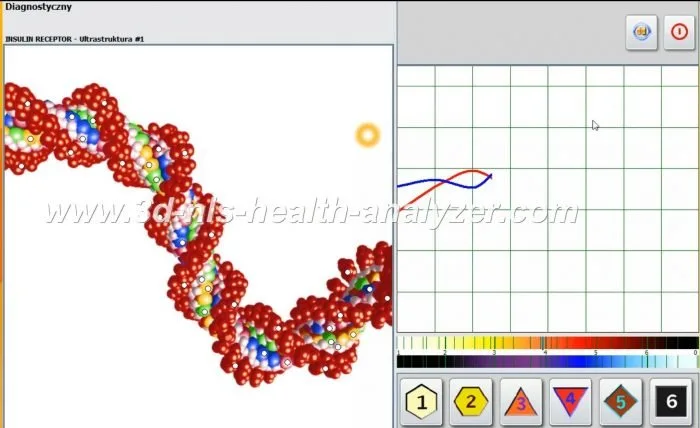 Can a Biophilia Tracker X5 (X5 ULTRA / X5 4D) Work for My U.S. Wellness Center? Practical Guidance for Owners — MAIKONG Hunter 4025 Metatron (5012).jpg